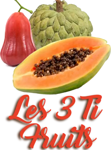 Logo Résidence Les 3 Ti Fruits