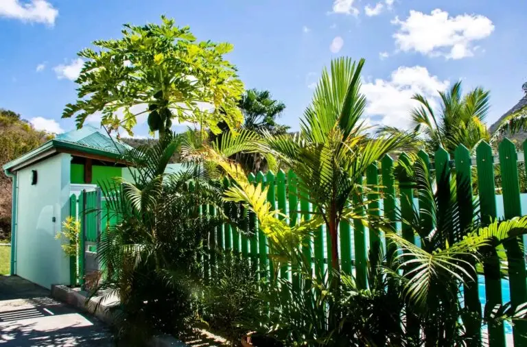 Piscine – chaises longues