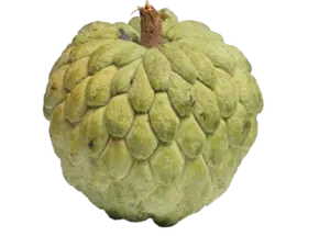 Ti-Pomme Cannelle
